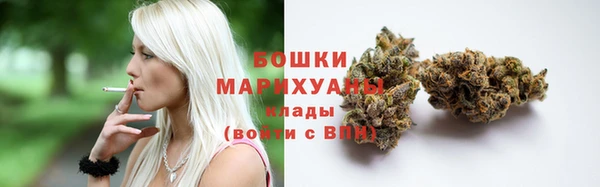 дмт Инсар