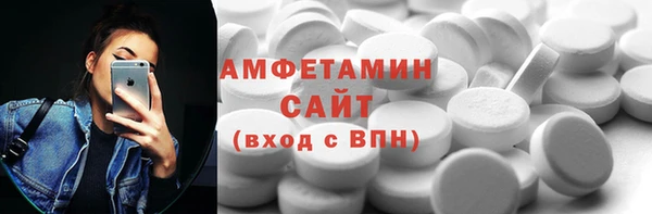 сатива Иннополис