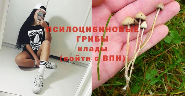 бошки Каменногорск