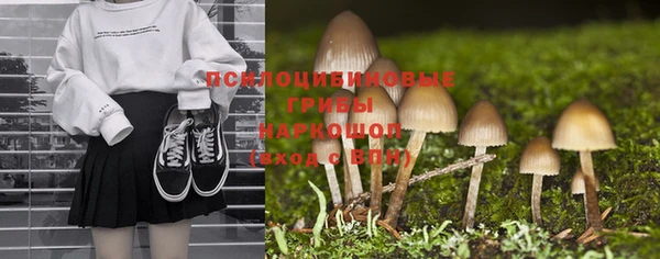 дмт Каменск-Шахтинский