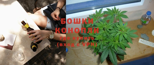 бошки Каменногорск